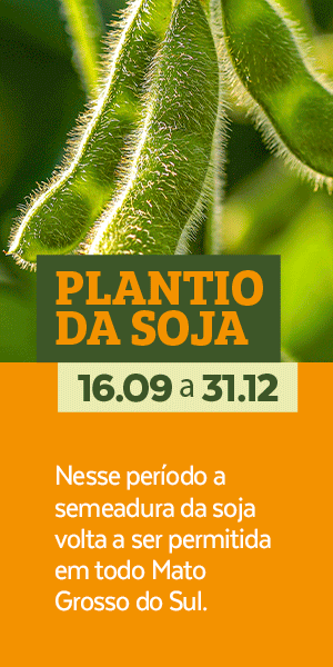 Plantio de soja