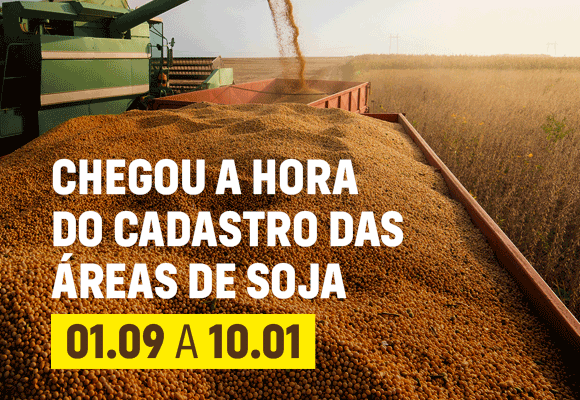 PLANTIO SOJA