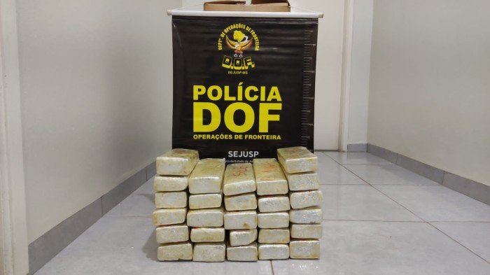 DOF apreende quase 30 quilos de maconha que eram levados para Santa Maria