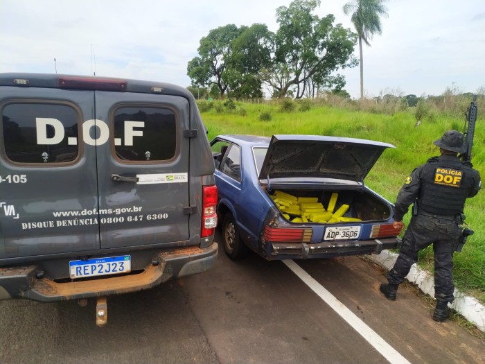 DOF apreende mais de 80 quilos de drogas em Paranhos