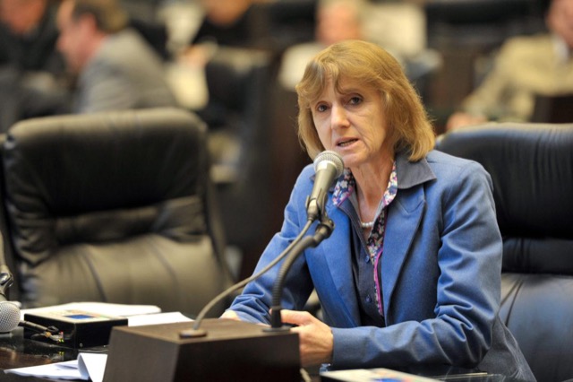 Deputada Luciana Rafagnin (PT) propõe melhorias e adequações na lei sobre os direitos das pessoas com TEA