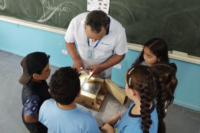 Sanepar amplia ações de preservação de abelhas nativas na Região Metropolitana de Curitiba