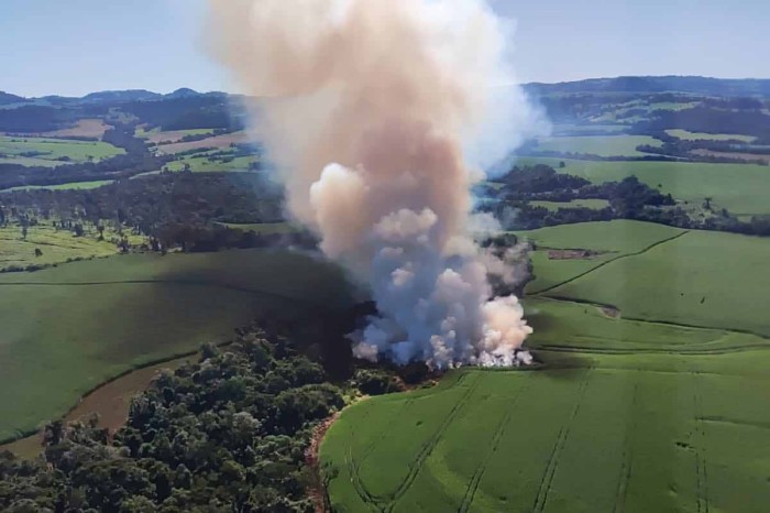 Ação do IAT em parceria com Marinha termina com três multas por desmatamento no Oeste
