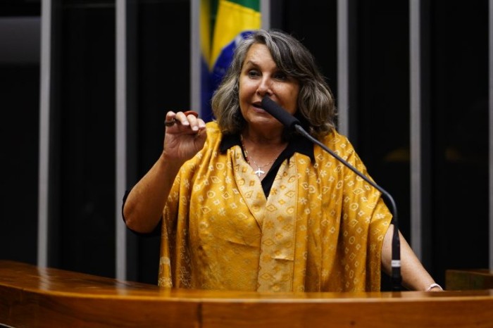 Comissão de Legislação Participativa debate projeto Defensorias Populares, do Piauí