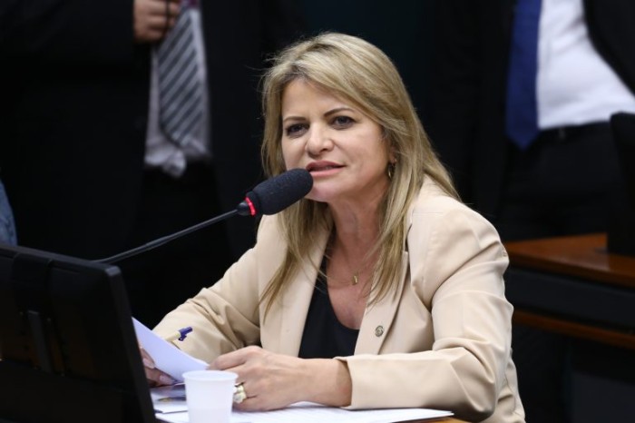 Comissão debate prioridades da Secretaria Nacional de Cuidados e Família
