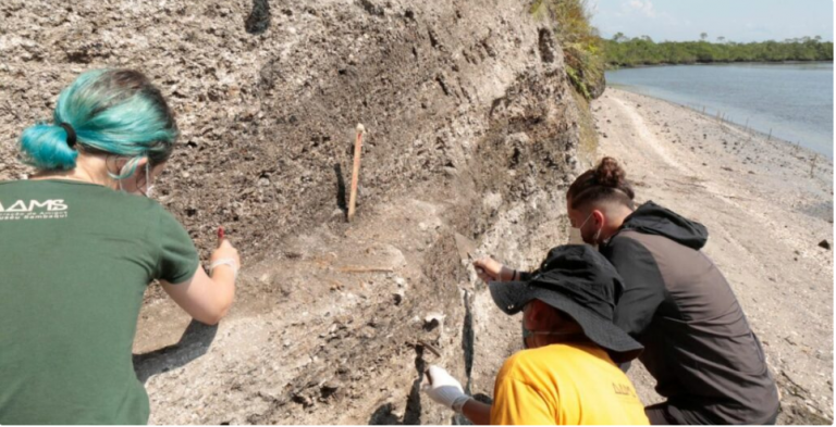 Comissão de Turismo promove audiência sobre 50 anos de museu arqueológico em Santa Catarina