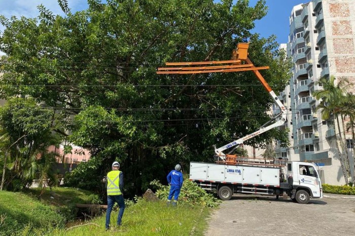 Matinhos: replantio de grama e espécies nativas dá nova aparência ao Canal da Avenida Paraná