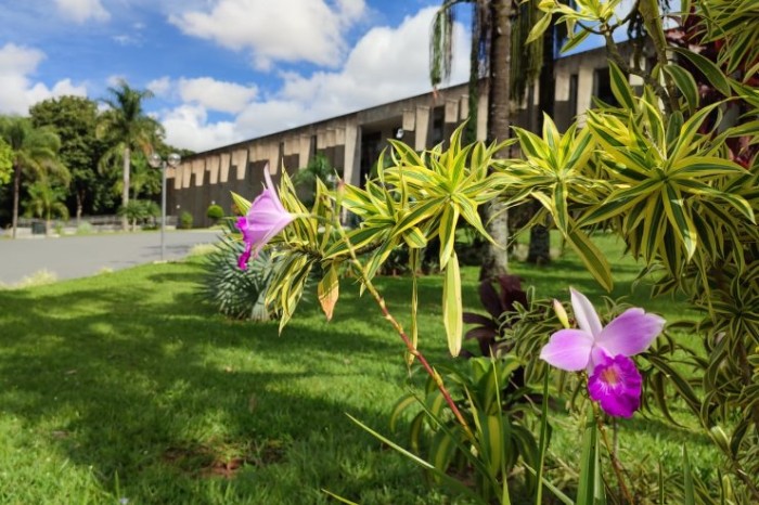 Agenda: Seminário sobre a saúde da mulher, reuniões e sessões movimentam semana