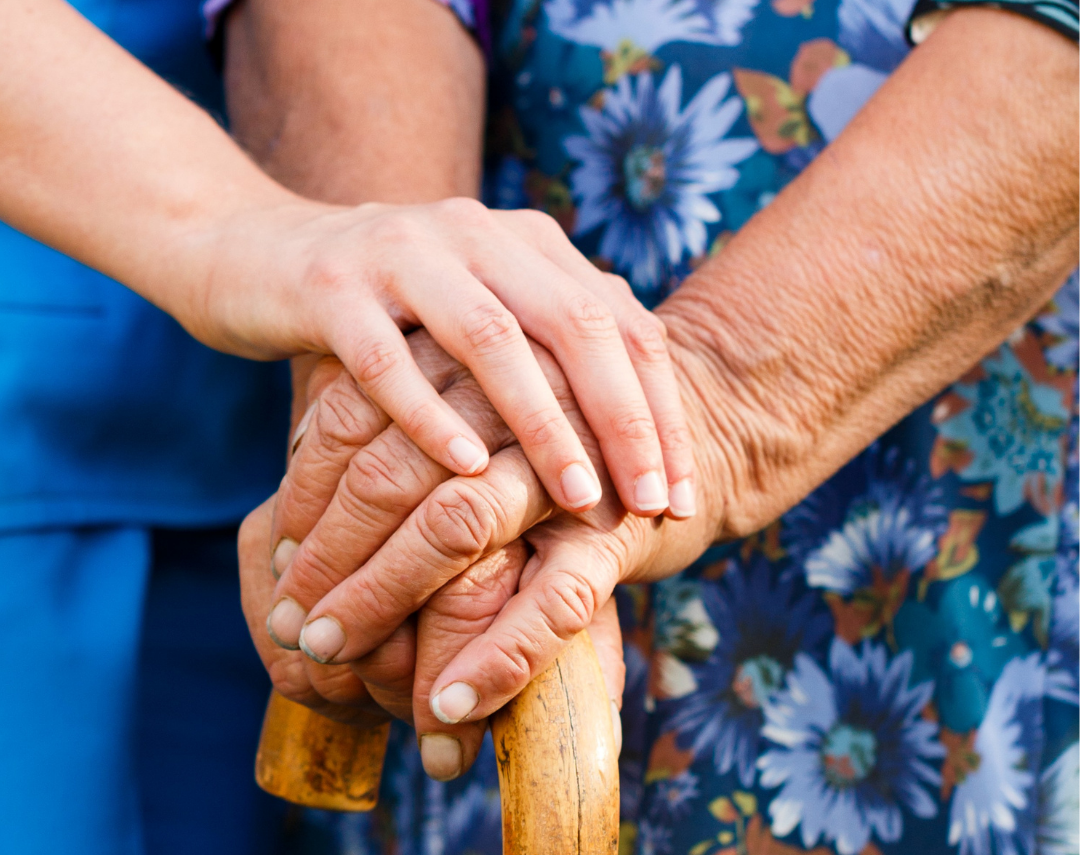 Junho Prata: fluxograma mostra rede de atendimento contra a violência às pessoas idosas