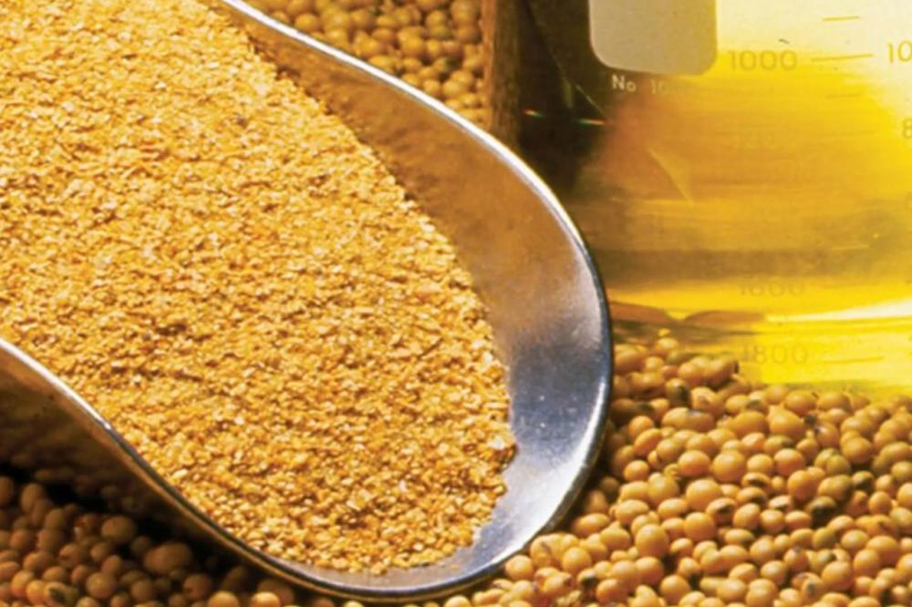 Produção de farelo de soja pode crescer 4 milhões de toneladas com aumento de biodiesel