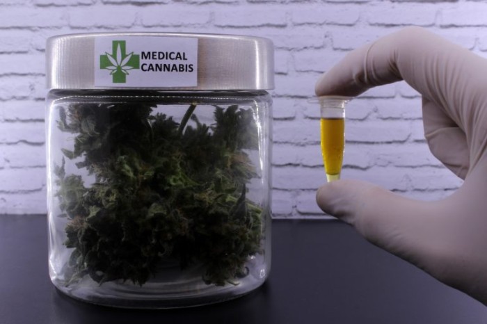 Comisão debate uso da Cannabis para fins medicinais