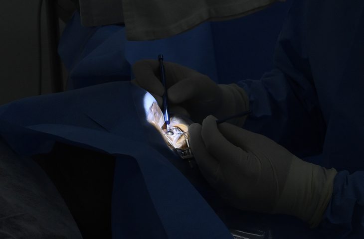 ‘Junho Violeta’ conscientiza população sobre prevenção do Ceratocone e importância da doação de córnea