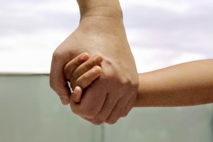 Evento debate atuação em rede no acolhimento de crianças e adolescentes