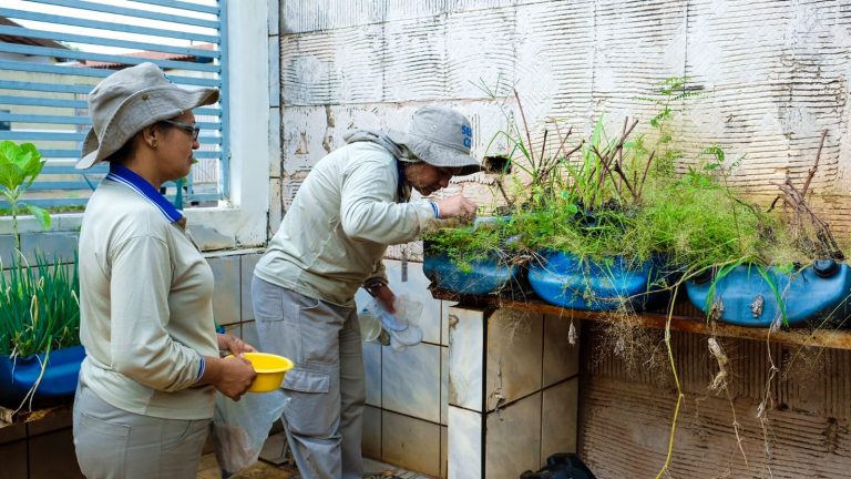  Número de casos de dengue diminui 83% em um mês em Campo Grande