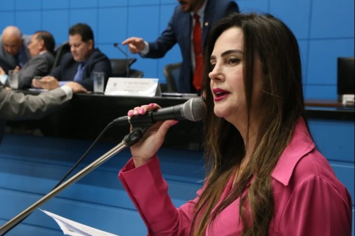 Mara Caseiro solicita substituição de ponte na MS-229 em Chapadão do Sul