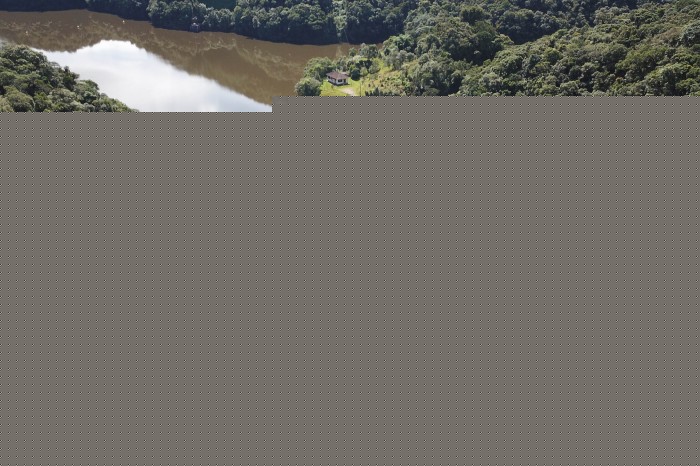 Copel adere a compromisso empresarial para a biodiversidade