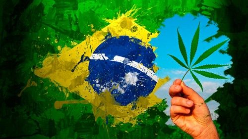 Ministério da Saúde quer legalizar o aborto e o uso da maconha no Brasil sem discutir com a sociedade 