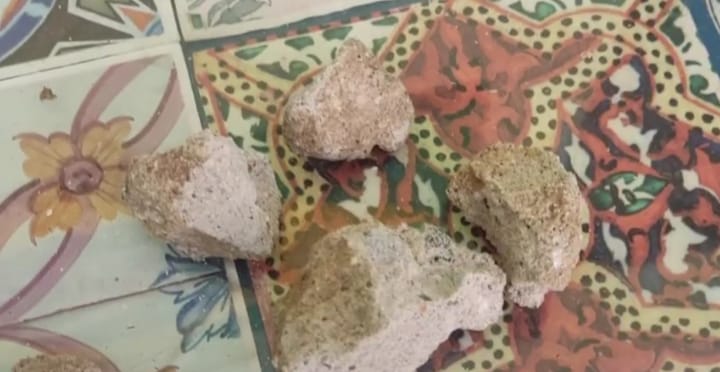 Vídeo: Carlos Bolsonaro afirma que seu gabinete e casa do pai foram apedrejados