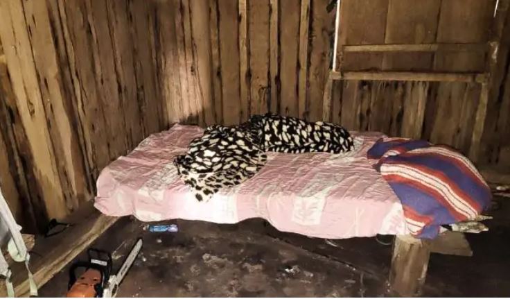 MS: Trabalhadores são resgatados em situação de trabalho escravo em fazenda