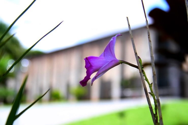 Dia do Esporte Amador será comemorado em solenidade na ALEMS