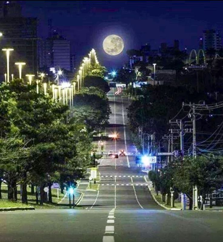  Campo Grande comemora 124 anos e destaca sua pluralidade cultural