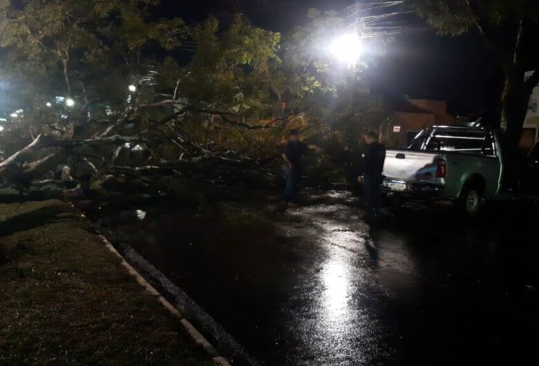 Após temporal, bairros ficam alagados e sem energia em Dourados