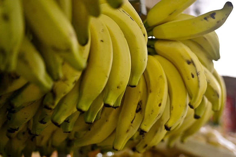 Yes, o DF produz muita banana! Foram mais de 5 mil toneladas este ano