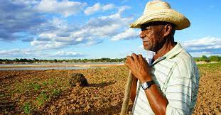Calor extremo impacta trabalhador rural 