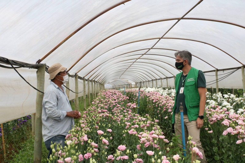 Extensionistas rurais auxiliam 18 mil agricultores no DF e no Entorno