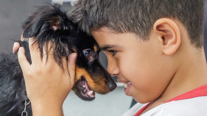 Aprendizagem com pets muda rotina de estudos de alunos no Paranoá