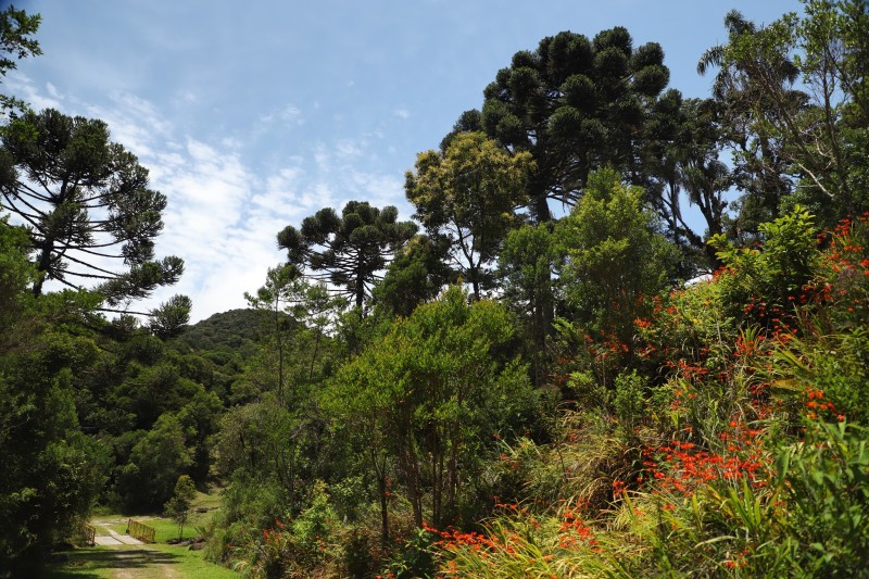 Paraná assina acordos internacionais de sustentabilidade durante a COP15, no Canadá