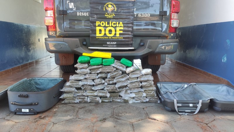 Skunk e maconha que seguiam para o Rio de Janeiro são apreendidos pelo DOF