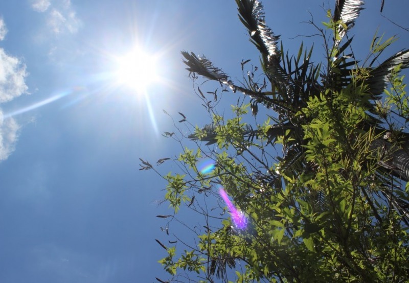 Previsão de chuvas com termômetros acima dos 30ºC, após onda de calor
