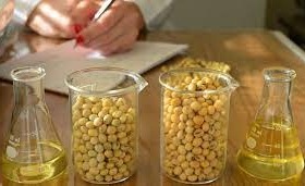 Fapesp desenvolve tecnologia para selecionar grãos de soja de alta produtividade