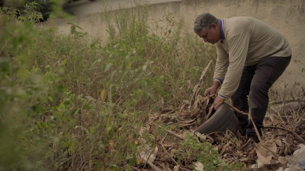 MS: Defesa Civil vai atuar para combater focos de dengue na divisa com PR e SP