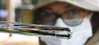 Casos de dengue sobem mais de 300% em 2024 no Brasil