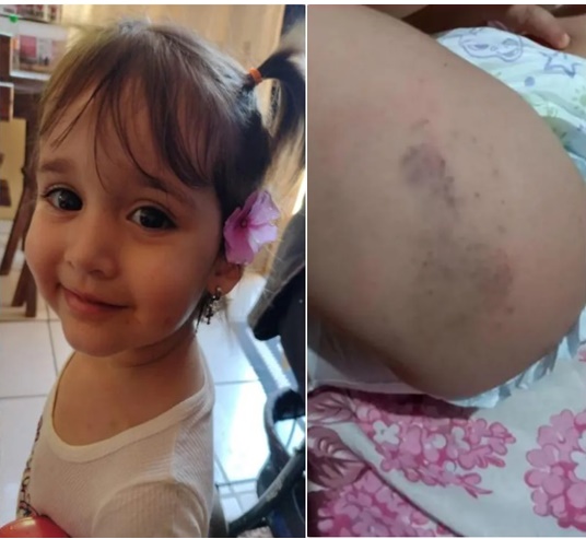 Pai de Sophia pede indenização de R$ 1,3 milhão por omissão dos poderes