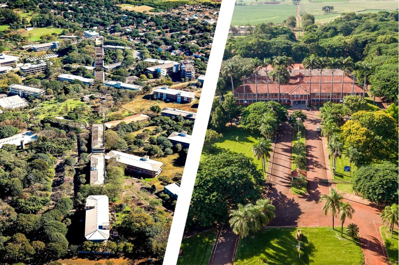 UEM e UENP conquistam Selo ODS Educação com boas práticas acadêmicas sustentáveis