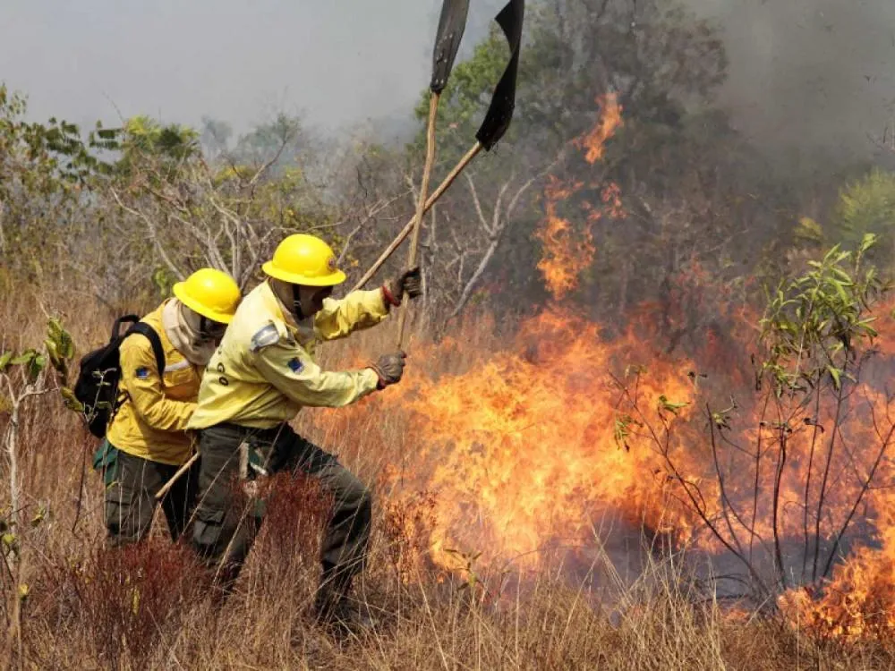 Portaria do Ibama autoriza contratação de 90 brigadistas para combate a incêndios em MS