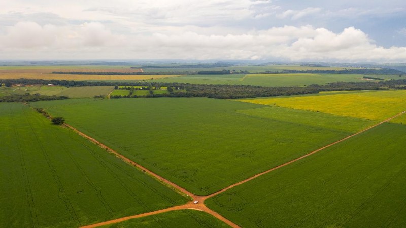 Lavoura com reserva legal em Campo Verde - Foto por: Imagem de drone - Rafael Marques/Secom - MT