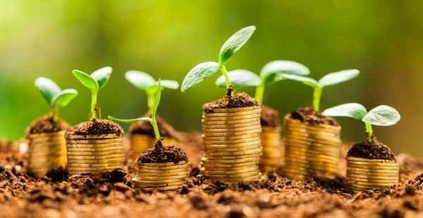 STF valida contribuição ao Funrural devida por produtor rural