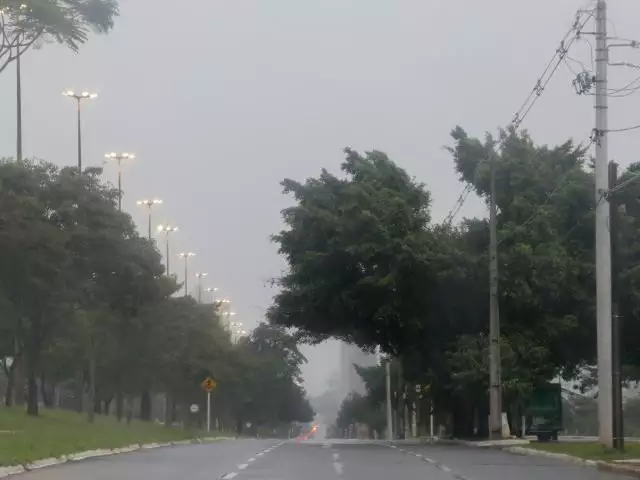 Mato Grosso do Sul registra temperaturas geladas com mínima de 8°C e neblina intensa