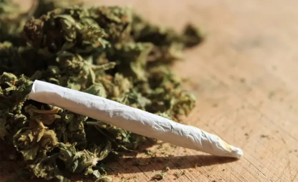 Congresso e STF em rota de colisão: PEC das Drogas criminaliza usuário, enquanto STF pode descriminalizar porte de maconha