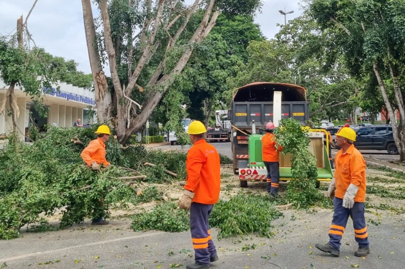 GDF Presente faz poda de árvores no Hmib para evitar alagamentos