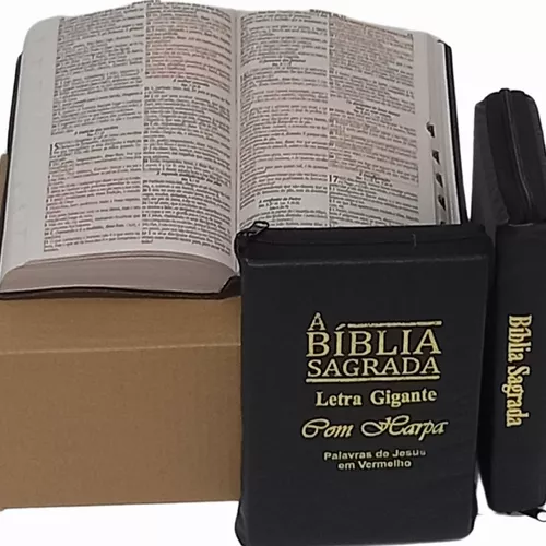 Controvérsia em São Paulo: Batalha judicial contra a presença da Bíblia em espaços públicos