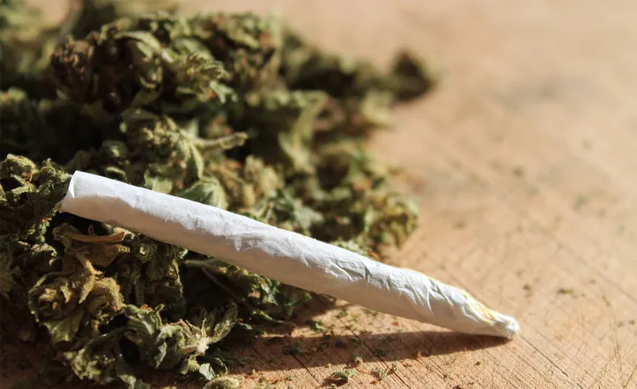 CNJ organiza mutirões para revisar prisões por porte de maconha