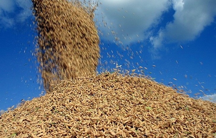 Agronegócio brasileiro exporta cerca de US$ 148 bilhões em 2022