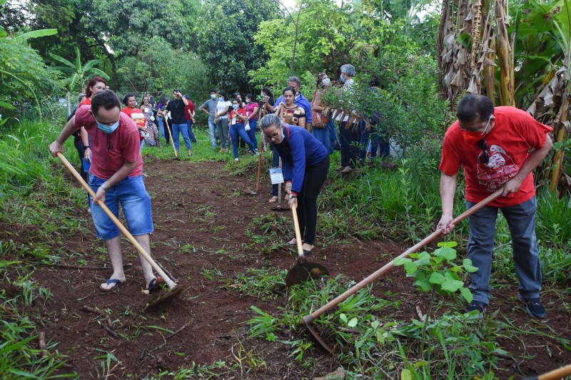 Hortos medicinais do DF são referência para o país