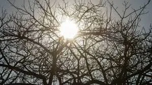 Agosto chega com clima típico de inverno e desafios climáticos no Brasil