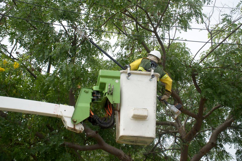Áreas de seis RAs ficam sem luz para manutenção de rede e poda de árvores